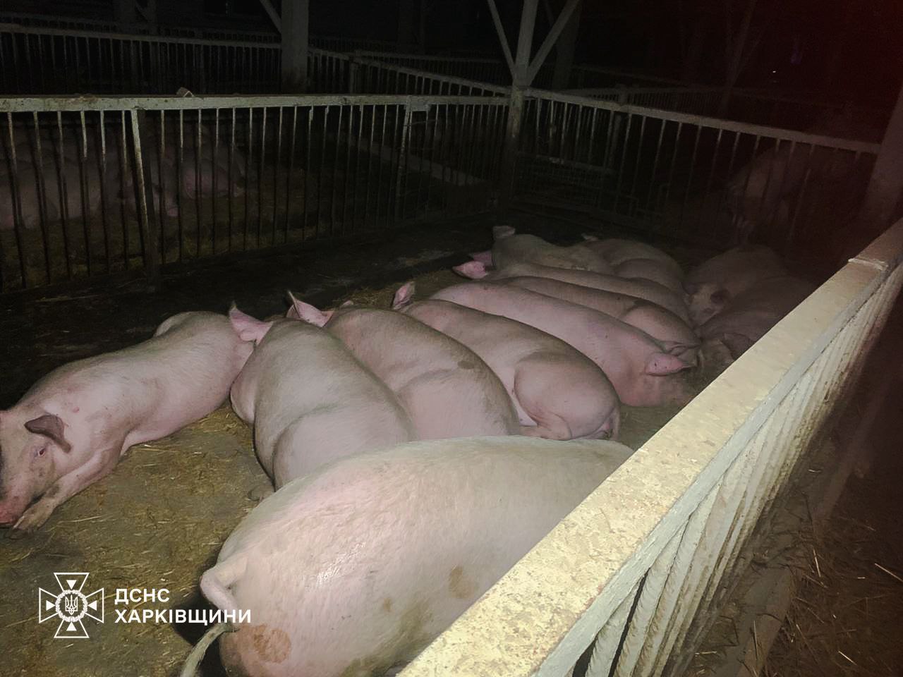 На Харківщині внаслідок атаки горіла ферма